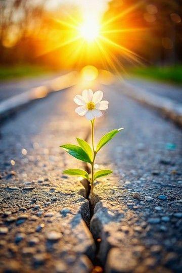 Fotografie pro WHEN THERE IS STILL HOPE